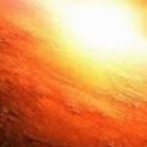 Meet your Posher, Hector